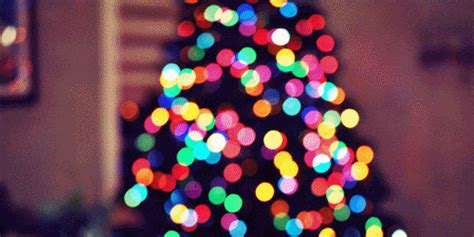 Christmas Gif – Telegraph