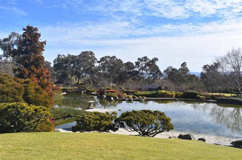 Cowra Cherry Blossom Festival – Kenny Express