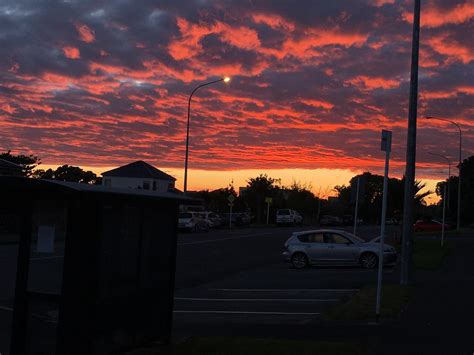 Beautiful 6am sunrise for another day in Orakei, Auckland : r/newzealand