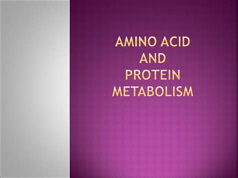 SOLUTION: Unit 2 protein metabolism - Studypool