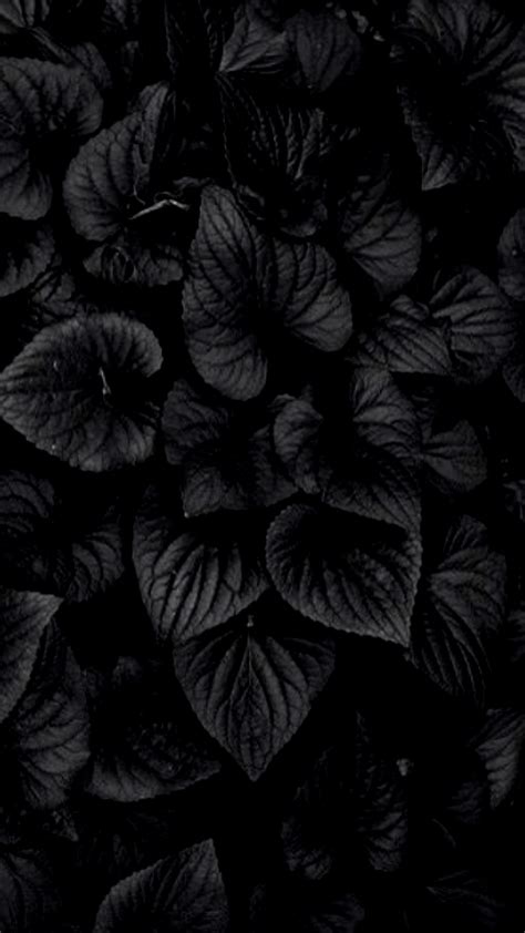 17+ Gambar Black Wallpaper 4K For Android