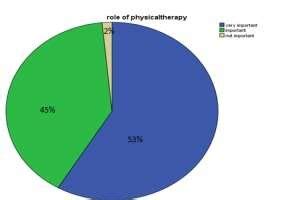 Importance of physical therapy | Download Scientific Diagram