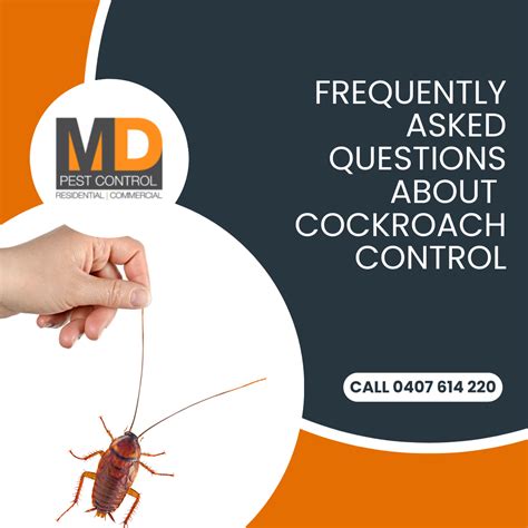 cockroach pest control frequently asked questions - MD Pest Control