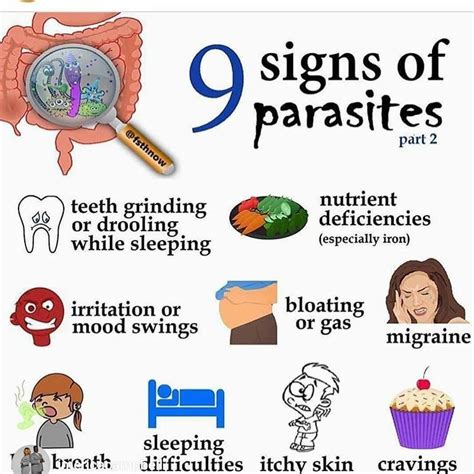 9 SIGNS OF PARASITES Clean Lifestyle, Healthy Lifestyle, Grinding Teeth ...