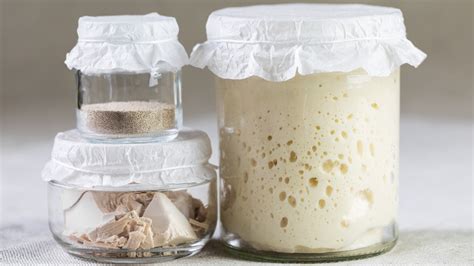 5 Types Of Yeast And How To Pick The Right One When Baking