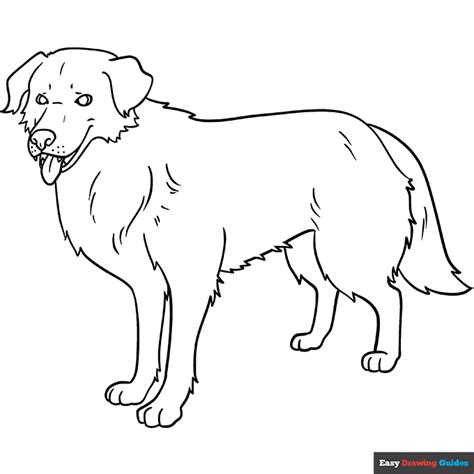 Realistic Dog Coloring Page | Easy Drawing Guides