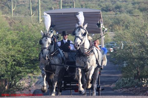 Horse & Carriage at your Wedding - Saguaro Buttes Tucson