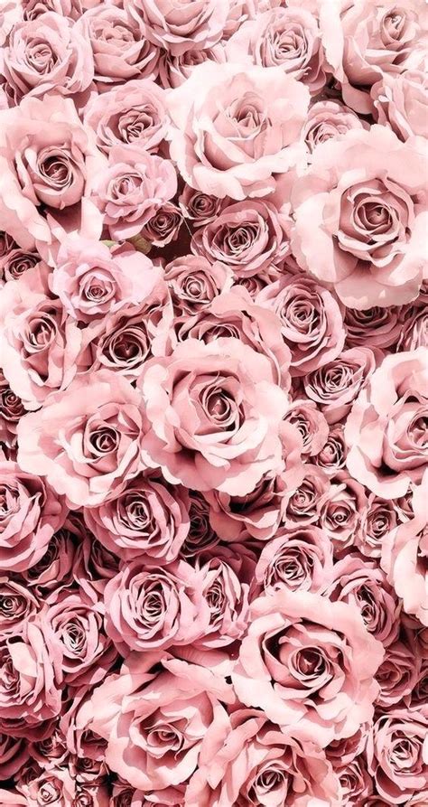 Rose Gold Aesthetic Wallpapers For Iphone (#2298983) - HD Wallpaper ...