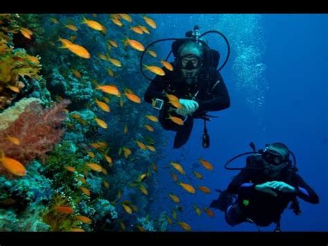 Scuba Diving Sharm El Sheikh 2015 - YouTube