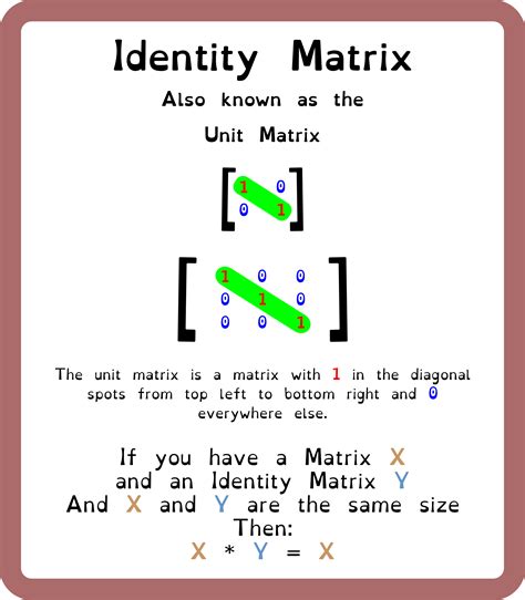 Identity Matrix Guide | Matrices math, Teaching math strategies ...