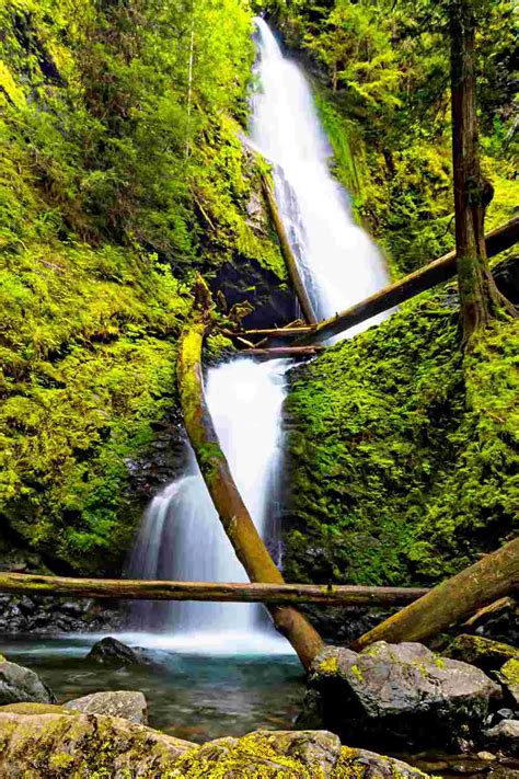 10 Best Waterfalls In Olympic National Park | Forest