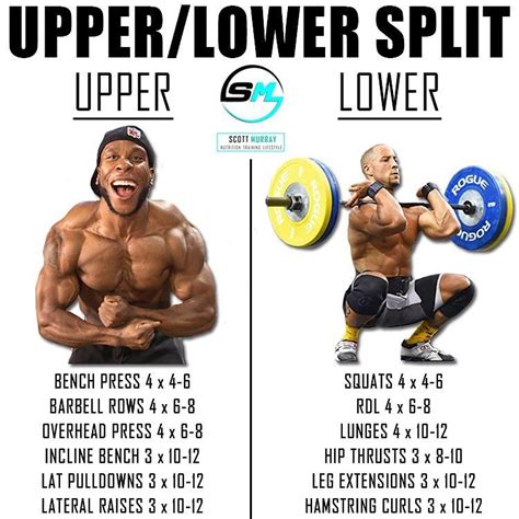 8 Powerful Muscle Building Gym Training Splits - GymGuider.com ...