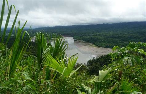 Madre de Dios River in Puerto Maldonado: 7 reviews and 23 photos