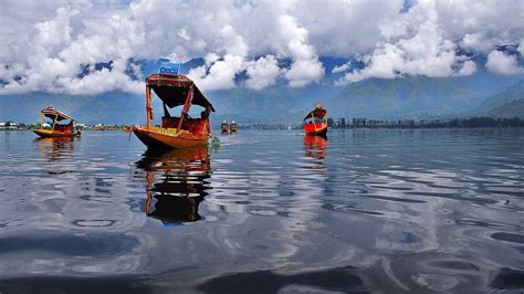 Dal Lake in Kashmir harbours bacteria that can degrade pesticides ...