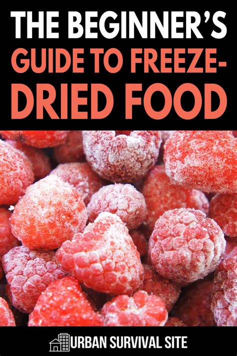 The Beginner's Guide to Freeze-Dried Food | Freeze drying food, Best ...