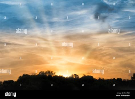 Sunset over forest silhouette Stock Photo - Alamy