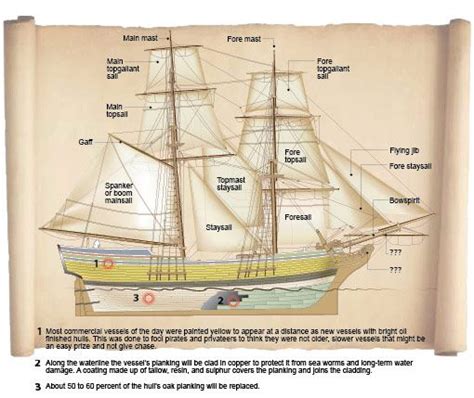 Brigantine Sails | Museum tours, Sailing, Wooden ship