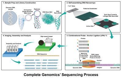 Complete Genomics publishes in Science on low-cost sequencing of 3 ...