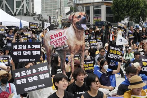 South Korea’s parliament passes landmark ban on production and sales of ...