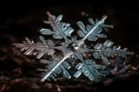 Premium AI Image | Closeup macro shot of a transparent snowflake ...