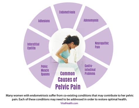 causes-of-pelvic-pain - Vital Health Endometriosis Center