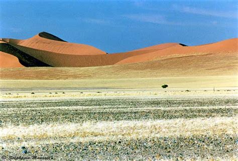 Harsh Namib desert landscape