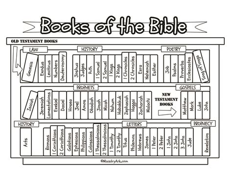 Books Of The Bible Worksheet – E Street Light