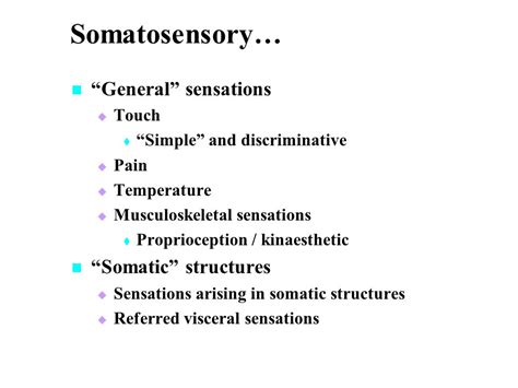 Somatosensory System 2217 – 2006 Week 7 Dr Avinash Bharadwaj. - ppt ...