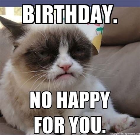 Happy Birthday Meme Grumpy Cat - Funny Memes