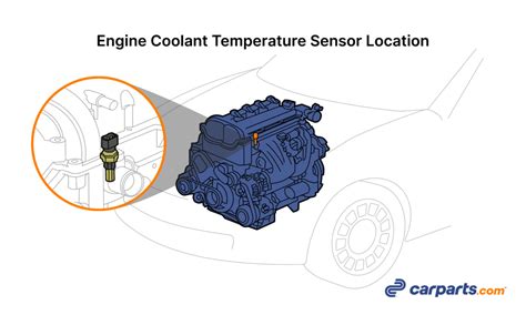 Engine Coolant Temperature Sensor: Purpose, Location, and Failure Signs ...