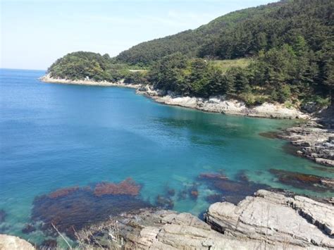 THE BEST Geoje Beaches (with Photos) - Tripadvisor