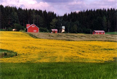 File:Rural landscape.JPG - Wikipedia