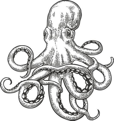 Simple Octopus Drawing - Bilscreen