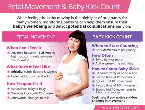 Fetal Kick Count Chart Printable