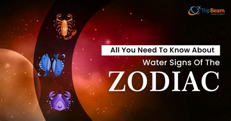 All You Need To Know About Water Signs Of The Zodiac - TripBeam Blog