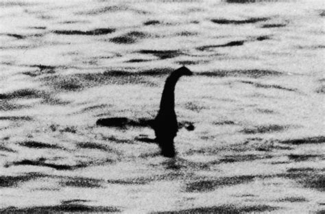 The Loch Ness Monster | Visit Inverness Loch Ness