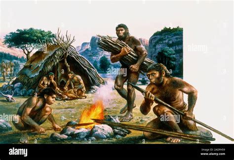 Early use of fire. Illustration of a tribe of Homo erectus using fire ...