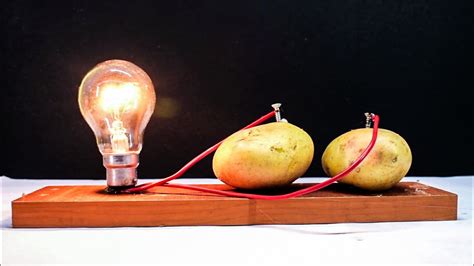 potato light bulb experiment for kids | Americanwarmoms.org