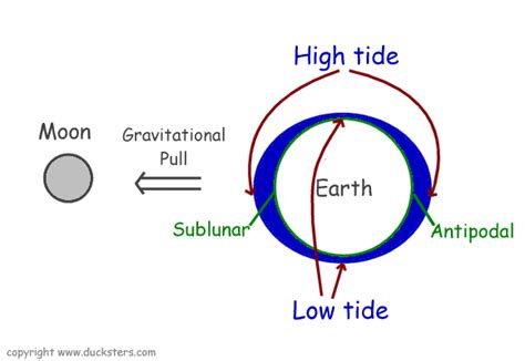 Ocean Tides Diagram