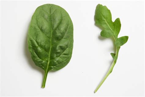 What Is Arugula and How Do You Use It?