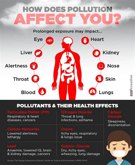 Understanding Vehicular Pollution – AQI, Harmful Effects and How to ...