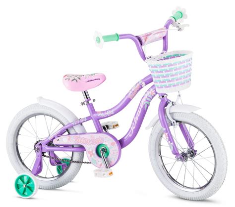 Top 10 Best Girls' Bikes 2017 - Top Value Reviews