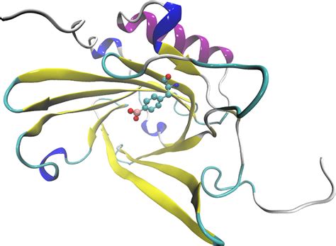 Crystal structure of engineered human lipocalin 2 carrying ...