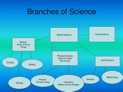 Branches Of Science Chart