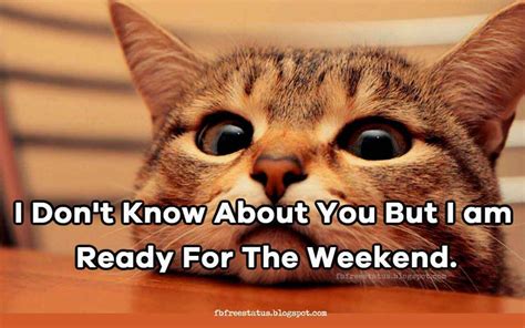 Funny & Happy Weekend Memes Quotes With Funny Weekend Images | Funny ...