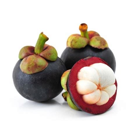 Mangosteen