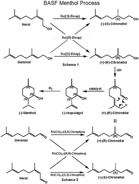 Menthol - BASF Menthol Process -Page 13