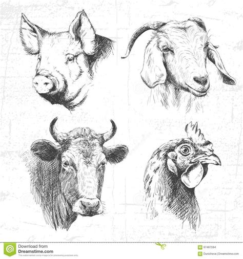 Farm Animals Vintage Set, Vector. - Download From Over 60 Million High ...