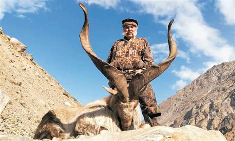 Another US citizen hunts highest-rated Astore Markhor - Pakistan - DAWN.COM