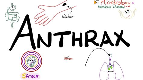 Anthrax - Causes, Symptoms, Diagnosis, Treatment - Bacillus anthracis ...